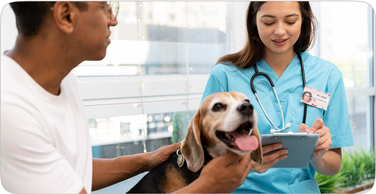 Consult with Vets illustration