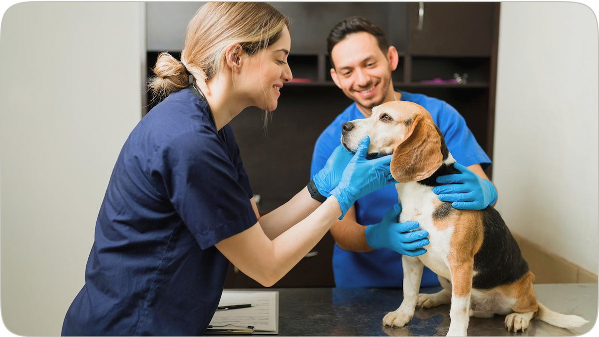 Meet Lab Technicians & Rehab Specialists illustration